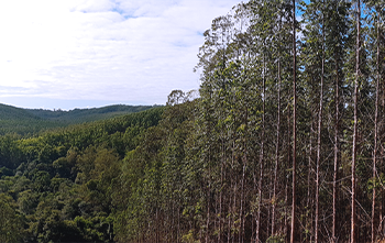 05_04_Microbiologia_Novidades_ArtigoProfCaio